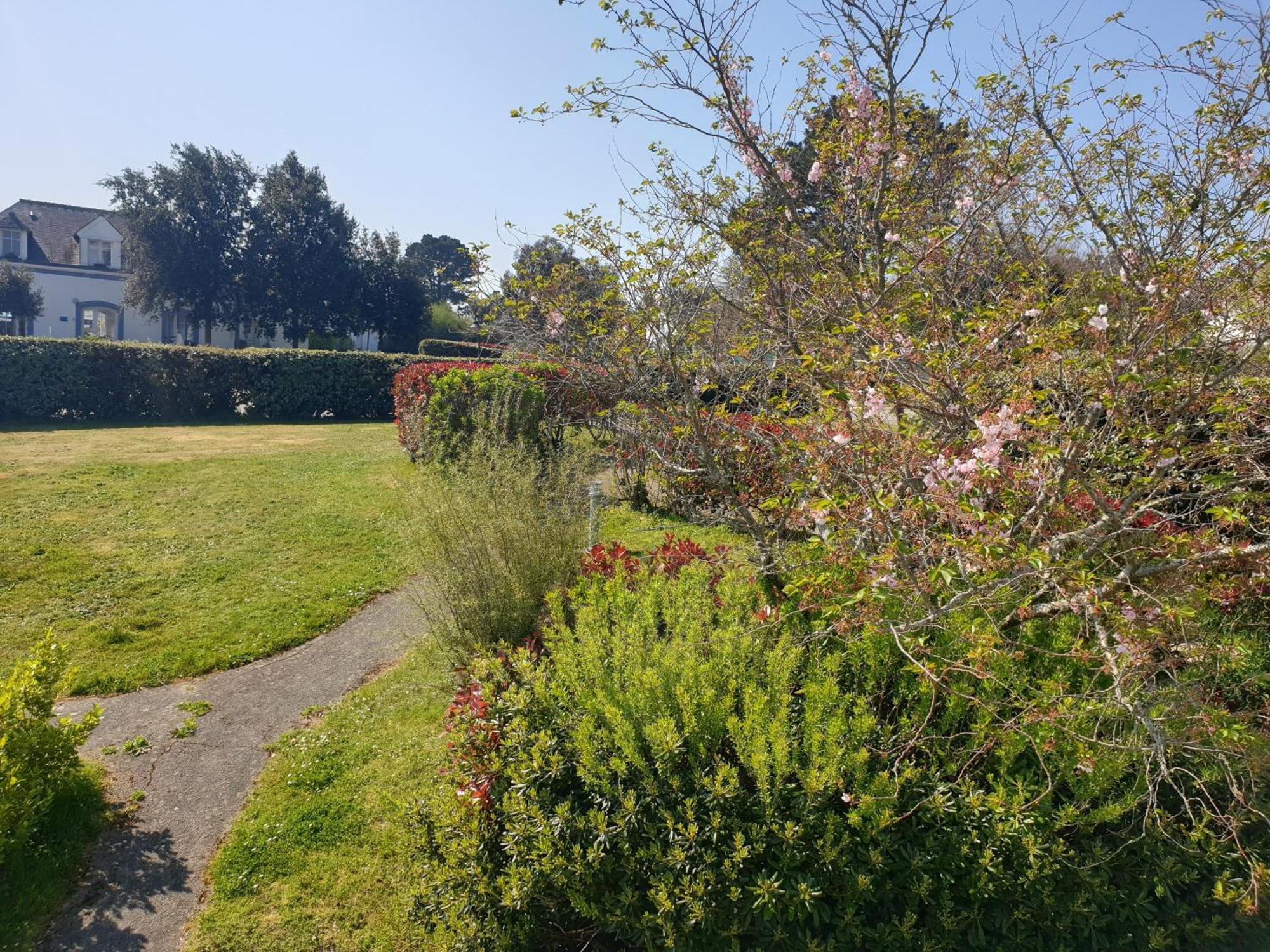 Locations Loc'Maria - Location Professionnelle Villa Locmaria Екстериор снимка